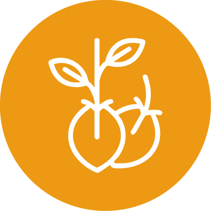 Sustainable Agriculture and Water Conservation: